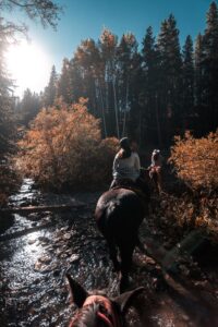 Passeggiata a cavallo immersi nella natura