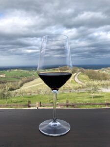 Calice di vino rosso e come sfondo le colline di Cangelasio (Salsomaggiore Terme) durante una giornata di tempesta.