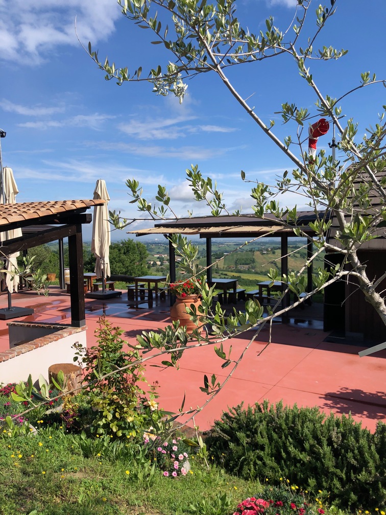 Foto che ritrae in primavera la terrazza panoramica dove si svolgono le degustazioni di vino presso Cantina Il Poggio di Salsomaggiore Terme (PR)